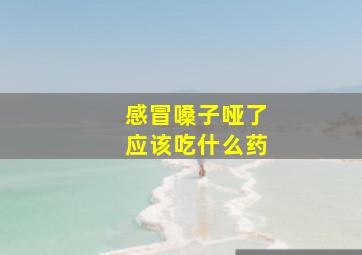 感冒嗓子哑了应该吃什么药