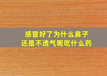 感冒好了为什么鼻子还是不透气呢吃什么药