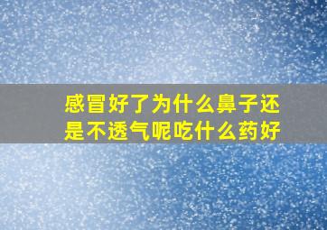 感冒好了为什么鼻子还是不透气呢吃什么药好