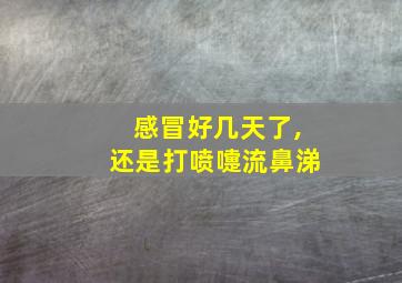 感冒好几天了,还是打喷嚏流鼻涕