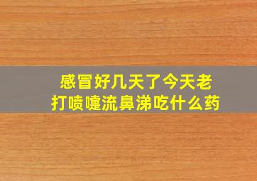 感冒好几天了今天老打喷嚏流鼻涕吃什么药