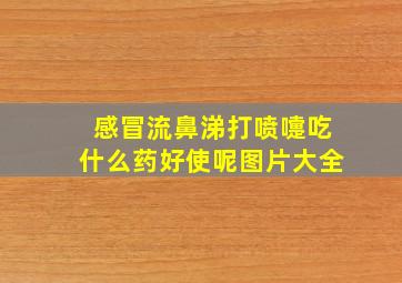 感冒流鼻涕打喷嚏吃什么药好使呢图片大全