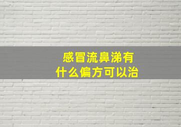 感冒流鼻涕有什么偏方可以治