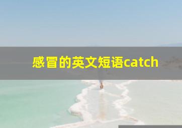 感冒的英文短语catch