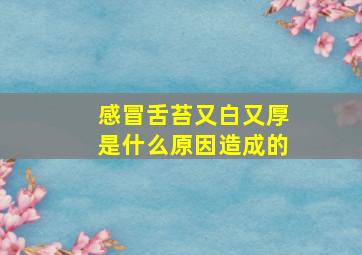 感冒舌苔又白又厚是什么原因造成的