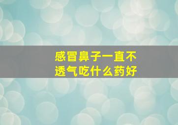 感冒鼻子一直不透气吃什么药好