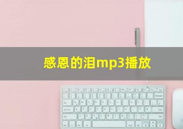 感恩的泪mp3播放