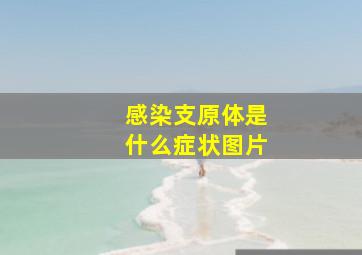 感染支原体是什么症状图片