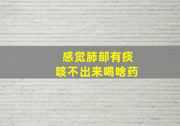 感觉肺部有痰咳不出来喝啥药