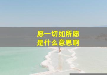 愿一切如所愿是什么意思啊