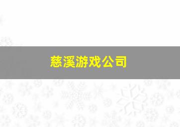 慈溪游戏公司