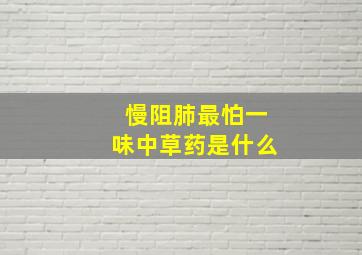 慢阻肺最怕一味中草药是什么