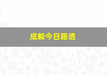 成毅今日路透