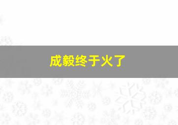 成毅终于火了