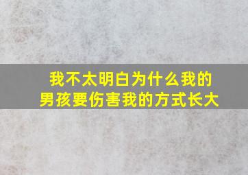 我不太明白为什么我的男孩要伤害我的方式长大