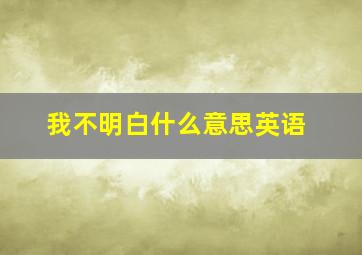 我不明白什么意思英语