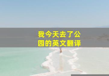 我今天去了公园的英文翻译