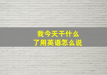 我今天干什么了用英语怎么说