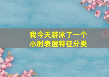 我今天游泳了一个小时表层特征分类