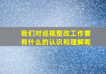 我们对巡视整改工作要有什么的认识和理解呢