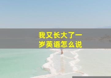 我又长大了一岁英语怎么说