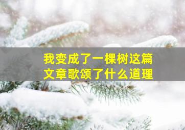 我变成了一棵树这篇文章歌颂了什么道理