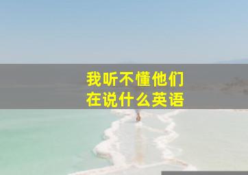 我听不懂他们在说什么英语