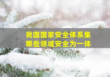 我国国家安全体系集哪些领域安全为一体