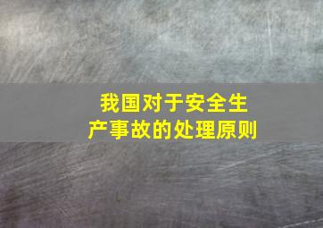 我国对于安全生产事故的处理原则