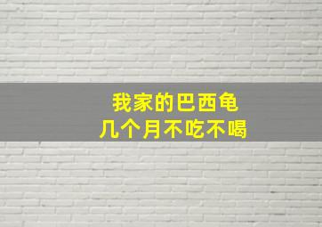 我家的巴西龟几个月不吃不喝