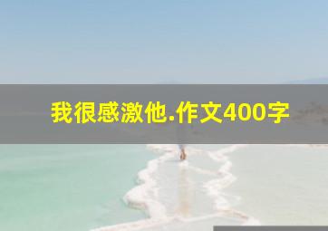 我很感激他.作文400字