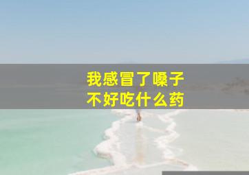 我感冒了嗓子不好吃什么药