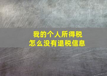 我的个人所得税怎么没有退税信息