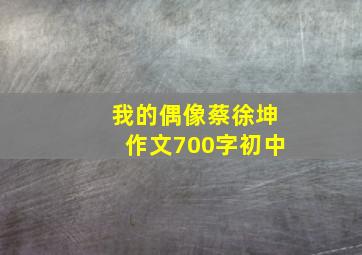 我的偶像蔡徐坤作文700字初中