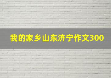 我的家乡山东济宁作文300