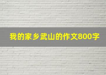 我的家乡武山的作文800字