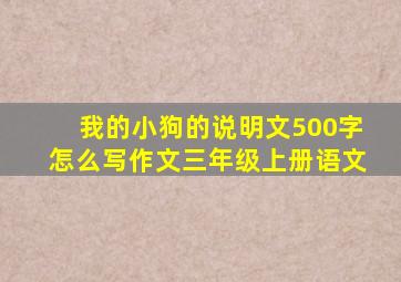 我的小狗的说明文500字怎么写作文三年级上册语文