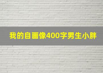 我的自画像400字男生小胖