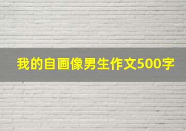 我的自画像男生作文500字