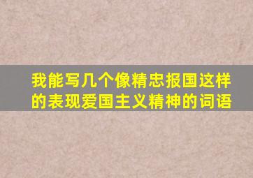 我能写几个像精忠报国这样的表现爱国主义精神的词语