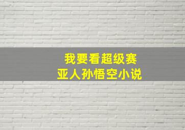 我要看超级赛亚人孙悟空小说