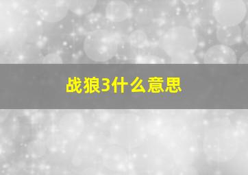 战狼3什么意思