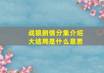 战狼剧情分集介绍大结局是什么意思