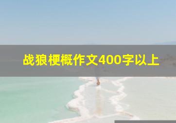 战狼梗概作文400字以上