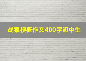 战狼梗概作文400字初中生