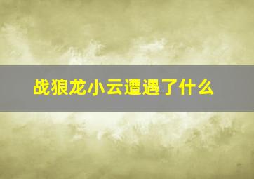 战狼龙小云遭遇了什么