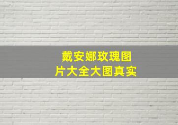 戴安娜玫瑰图片大全大图真实