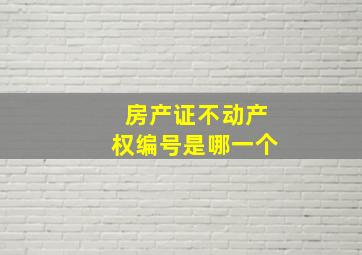 房产证不动产权编号是哪一个