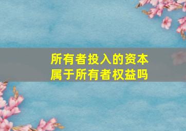 所有者投入的资本属于所有者权益吗