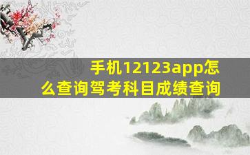 手机12123app怎么查询驾考科目成绩查询